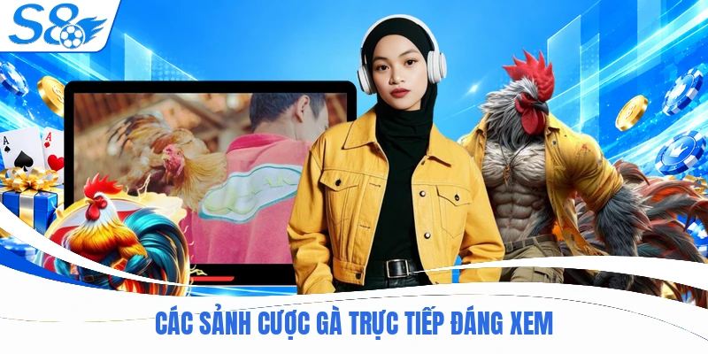 Các sảnh cược gà trực tiếp đáng xem