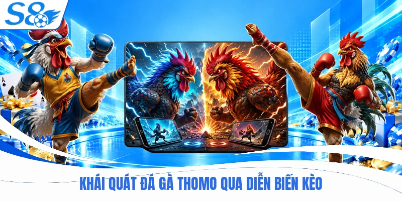 Khái quát đá gà thomo qua diễn biến kèo